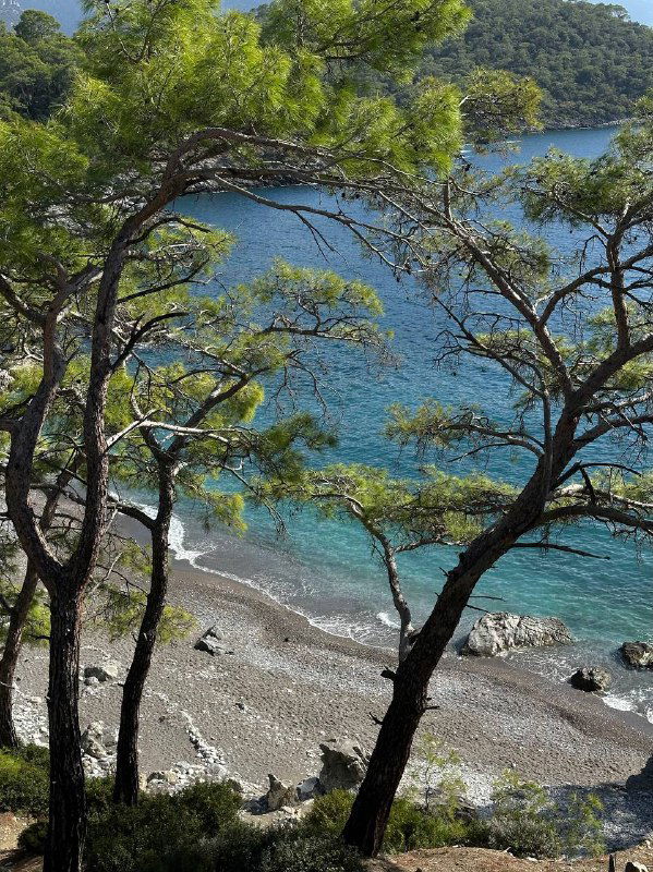 Уютный скрытый пляж у подножия скал, окружённый соснами, галечный берег и прозрачная вода — место для уединённого купания вне основных троп.