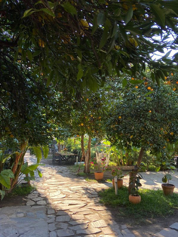 Балийский уголок в старом городе Антальи — Casa Sur