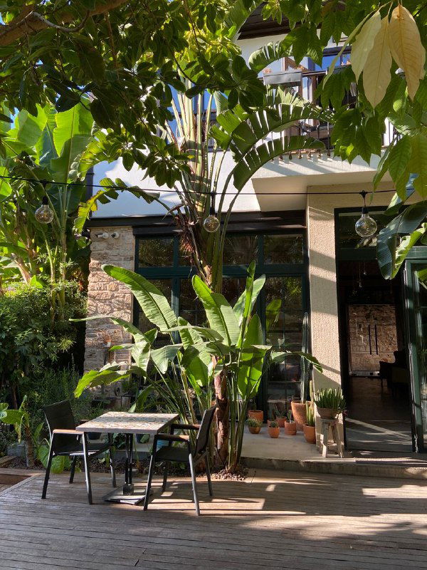 Входная зона и терраса Casa Sur с деревянными столами и тропической растительностью: банановые листья и уютные посадочные места у фасада.