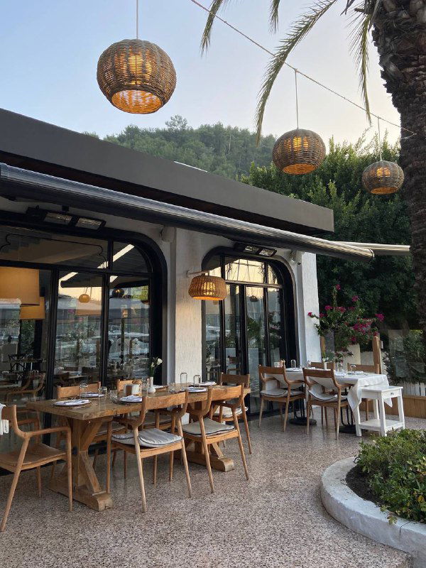 Интерьер и открытая часть ресторана Mori Restoran: деревянные столы, ротанговые лампы, уютная атмосфера у моря и пальмы вокруг.