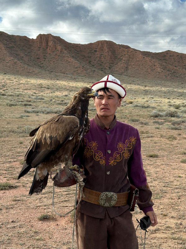 Киргизский охотник в традиционной одежде с большой хищной птицей (беркут) на перчатке на фоне горной степи — культовая сцена местных традиций.