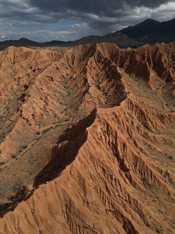 Аэрофотоснимок извилистых красных каньонов и эрозионных гребней в горах Кыргызстана — масштабный геологический рельеф, вид с высоты.