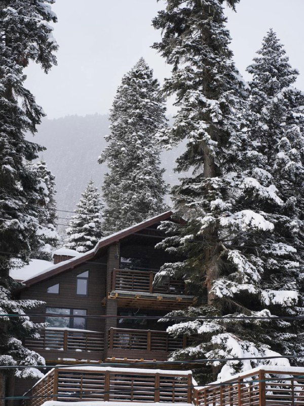 Деревянный горный шале среди высоких хвойных деревьев, покрытых свежим снежным покровом, фасад с балконами и террасой.