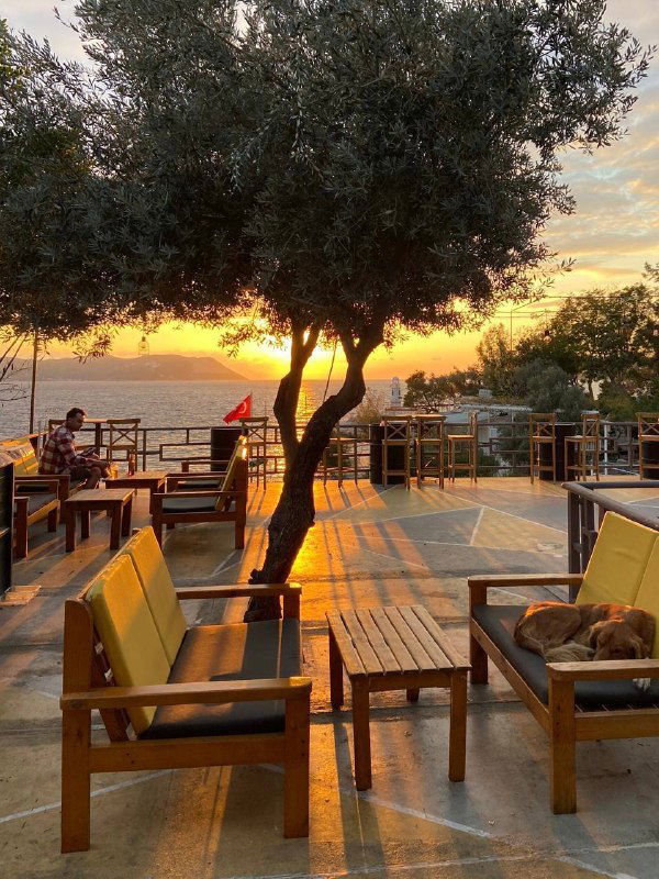 Кафе на побережье с деревянными столами и видом на море при тёплом закатном свете; уютная атмосфера для вечернего отдыха и встреч.