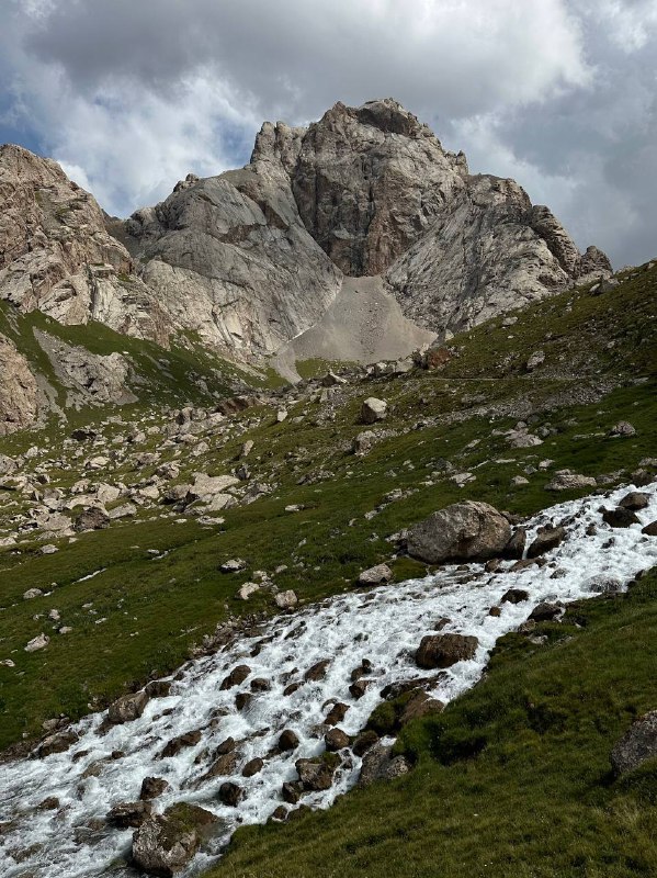 Горный ручей и стремительный поток воды над камнями в альпийской долине, вокруг — сочная зелень и острые горные вершины на горизонте.