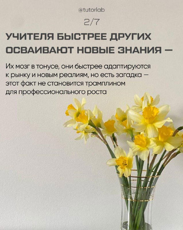 Слайд 2: декоративные нарциссы рядом с текстом о том, что учителя быстрее других осваивают новые знания, поясняющий тезис о мозге в тонусе.