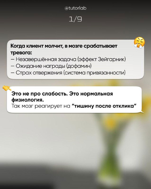 Информационный слайд с карточкой: когда клиент молчит, в мозге срабатывает тревога; визуал с размытым фоном и текстом совета