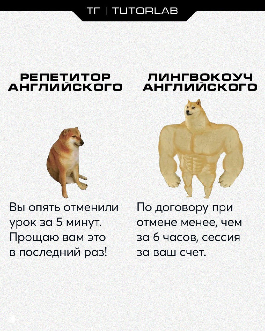 Почему репетитору нельзя говорить «Молодец, ты можешь лучше»