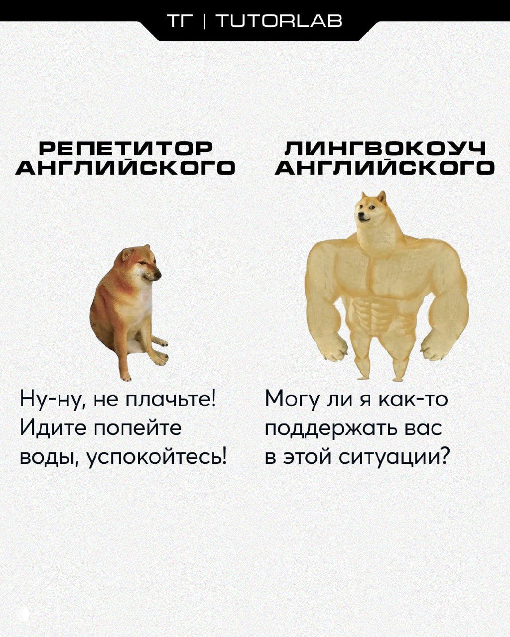 Мем с двумя Doge: слева грустный репетитор с упрёками, справа сильный лингвокоуч с поддержкой и контрастом подходов.