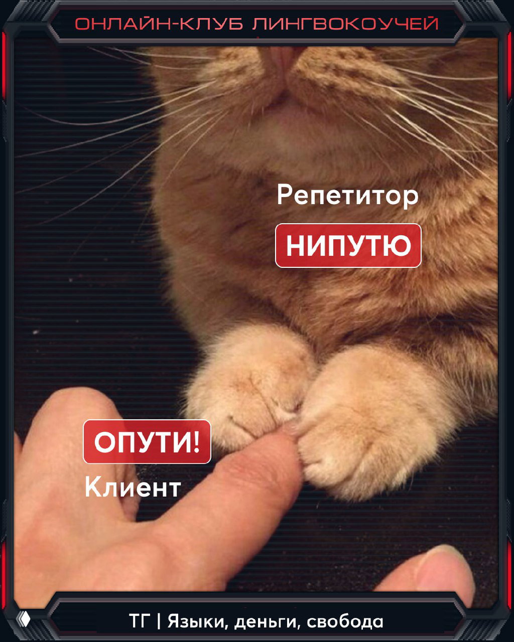 ЗВОНОЧКА репетитору: расстаться с клиентом