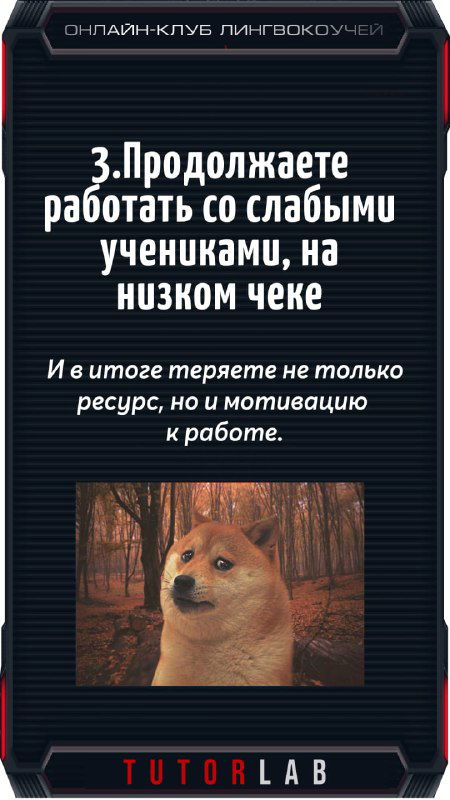 Слайд о работе с слабыми учениками и низком чеке: карточка с текстом и мем с собакой на фоне осеннего леса, контрастная рамка