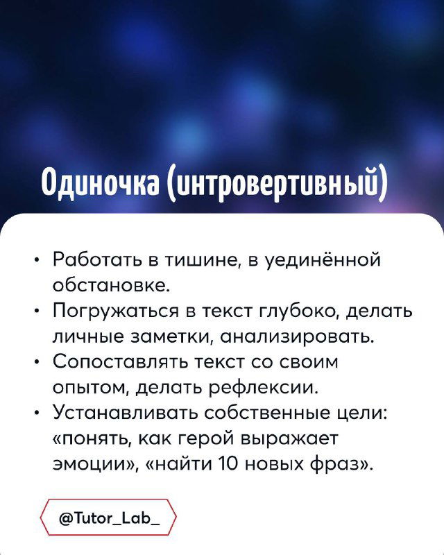 Слайд «Одиночка (интровертный)»: работать в тишине, делать личные заметки, анализировать текст глубоко и устанавливать персональные цели.