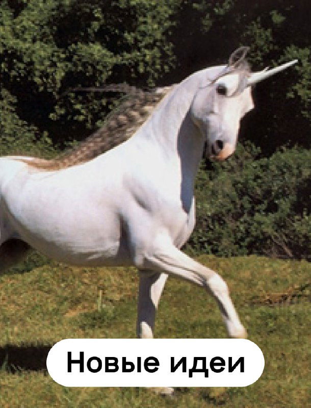 Фотография белого единорога на зелёной лужайке с подписью «Новые идеи», метафора поиска свежих решений профессионалами и «единорогов» продукта.