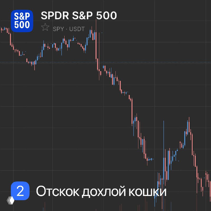 График SPDR S&P 500 (SPY) с резким падением и последующим коротким отскоком — визуализация феномена «dead cat bounce» на фоне свечных баров.