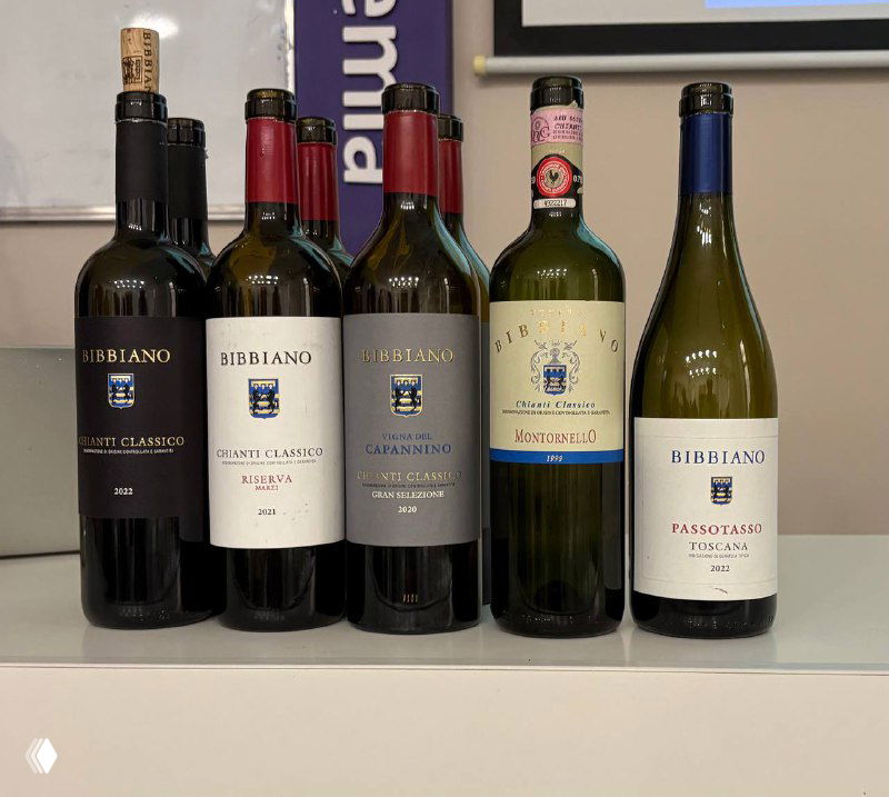 Ряд бутылок вина Tenuta di Bibbiano на столе: разные этикетки Chianti Classico, Gran Selezione и другие позиции для дегустации.