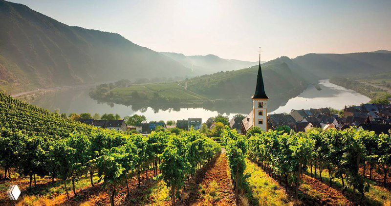 Региональные различия немецких рислингов — анонс