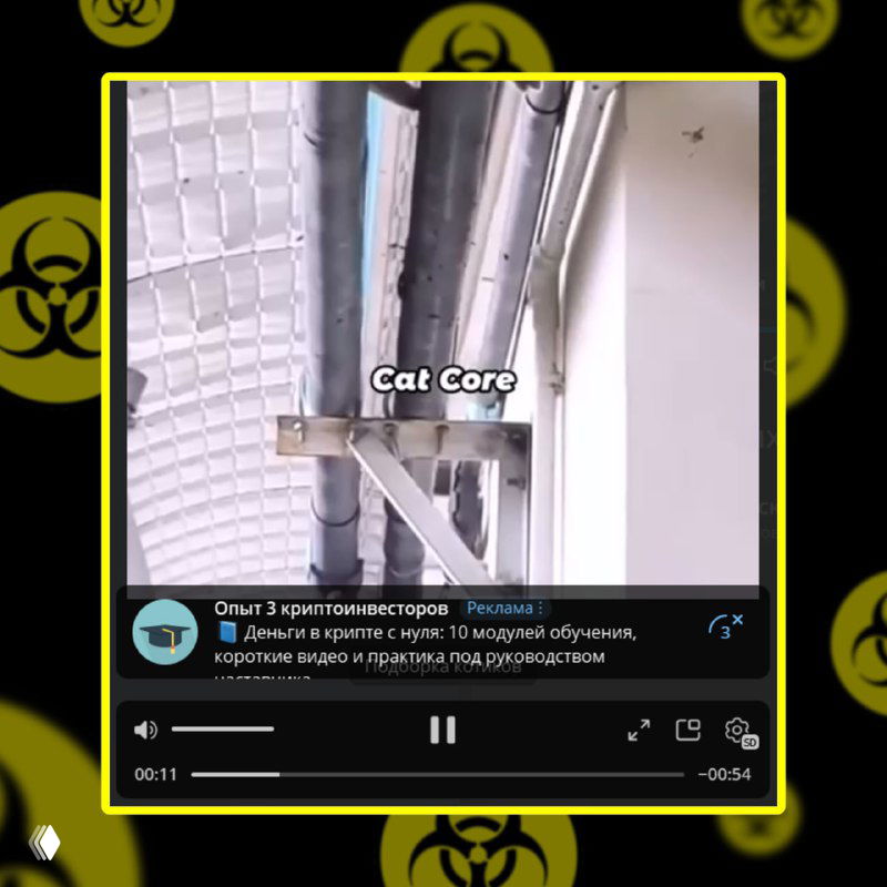 Скриншот интерфейса: вертикальное видео с заголовком 'Cat Core', рекламный баннер Telegram внизу и желтая окантовка кадра.