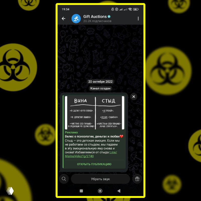 Скриншот сообщения с объяснением правил аукциона и интерфейсом чата — видно текстовое сообщение и диалог, оформленный в мобильном приложении.