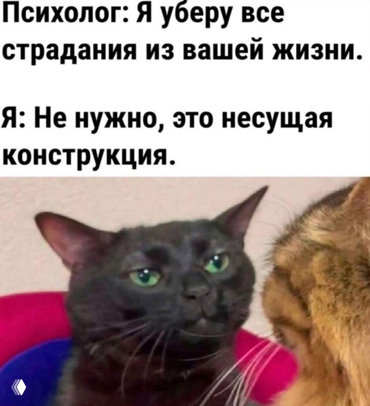 35/365 Тише едешь — квантовые скачки в мышлении