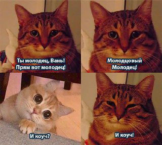 37/365 Давай я заплачу: бессознательный сговор