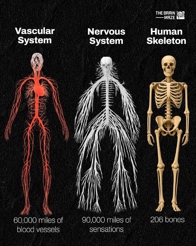 Как правильно «раздеться» на публике?