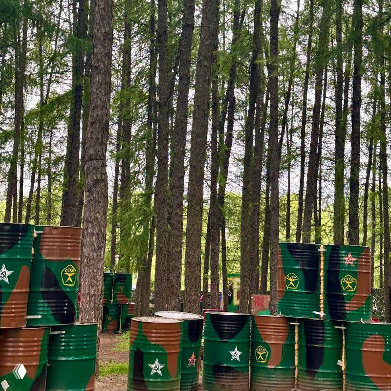 Вид парка с высокими соснами и элементами оформления лагеря, общий план территории, где проходят активности и прогулки детей во время смены.