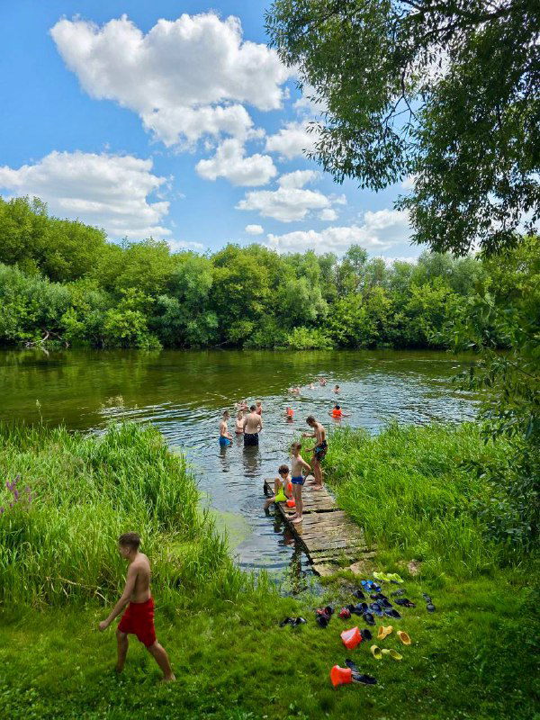 Речка с деревянным мостком, дети купаются и играют у берега в окружении зелёных кустов и леса — летняя активность во время сборов по карате.