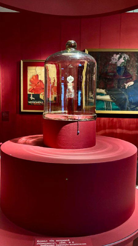 Куполообразный подиум с прозрачной стеклянной колбой и экспонатом внутри на красном фоне — музейная витрина в тематическом оформлении зала.
