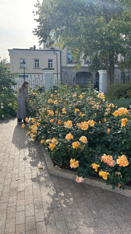 Аллея с жёлтыми цветами и человеком на дорожке: вид парковой зоны у Малой Никитской и окружение кафе с яркими цветочными клумбами.