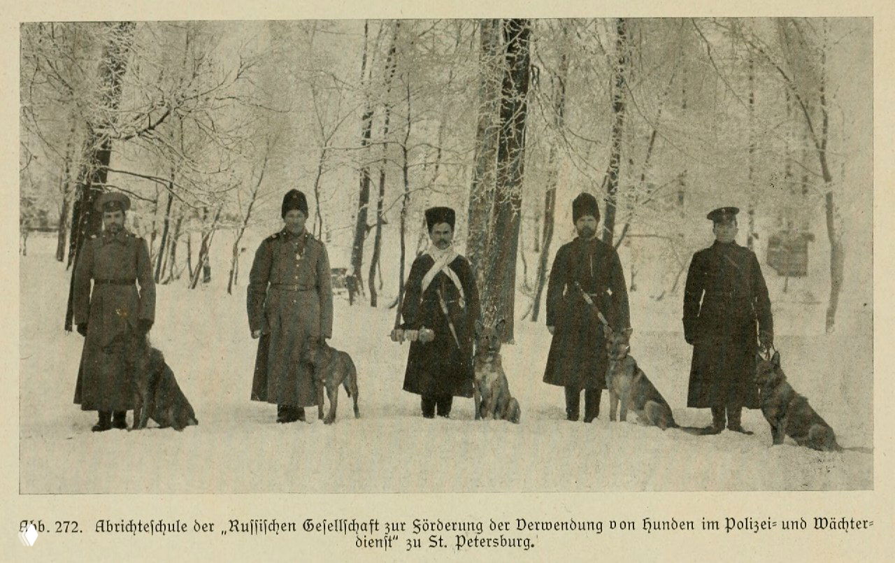 Школа дрессировки в Санкт-Петербурге (иллюстрация, 1921)