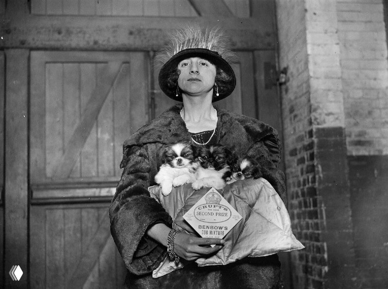 Второе место на Cruft's Dog Show, 1924