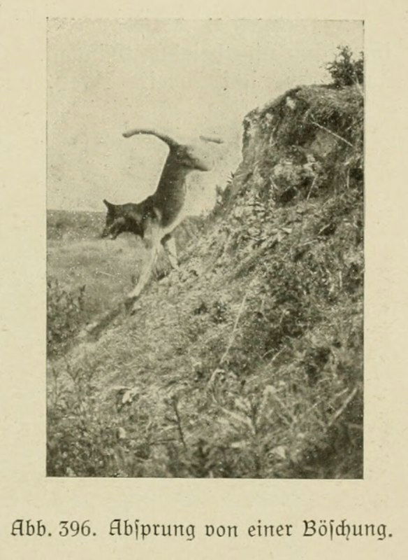 Прыжок с крутого склона.