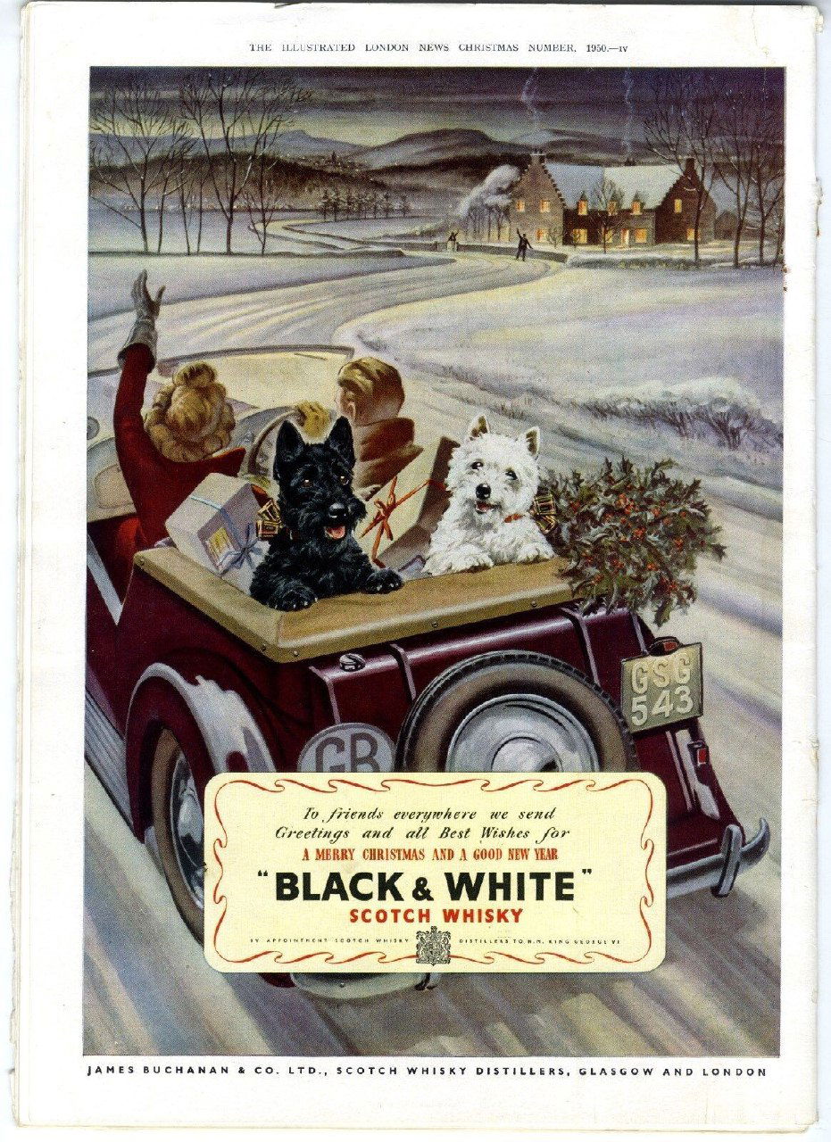 Реклама виски Black & White (1950)