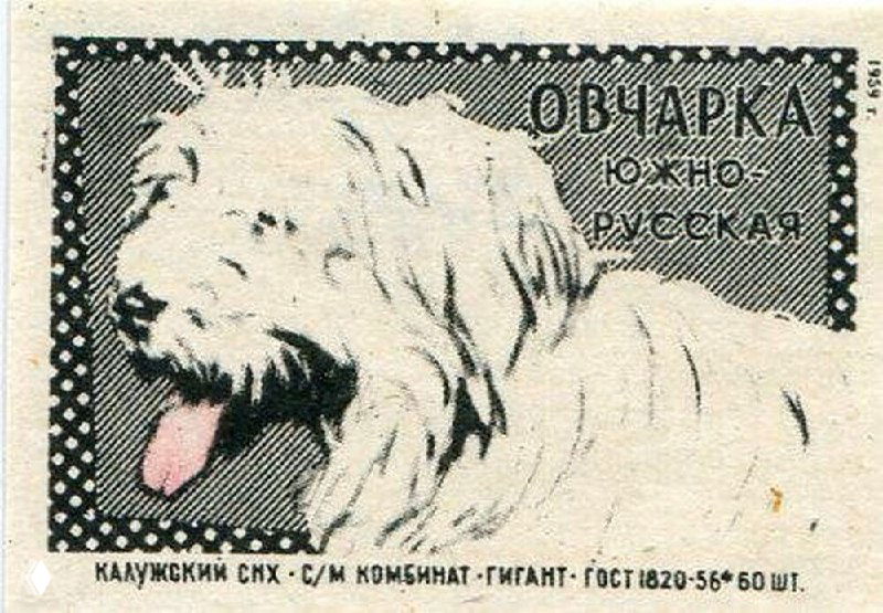 Спичечная этикетка: южнорусская овчарка, 1959