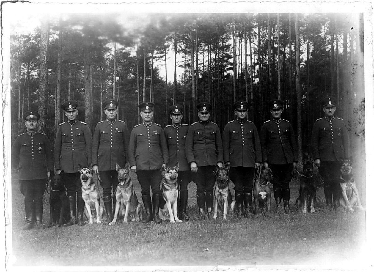 Немецкие полицейские и служебные собаки начала XX века