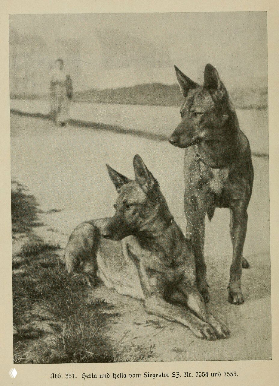 Herta и Hella vom Siegestor (иллюстрация, 1921)