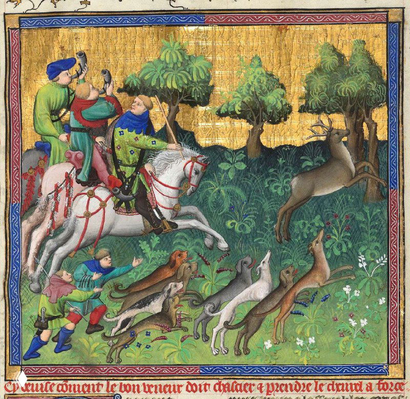 Как добрый охотник должен гнать и добывать косулю