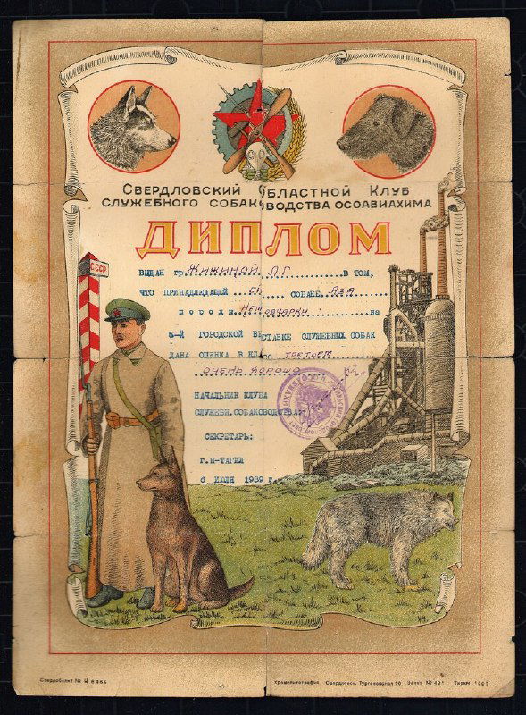 Диплом Жижиной Л.Г. — Аза, 1939