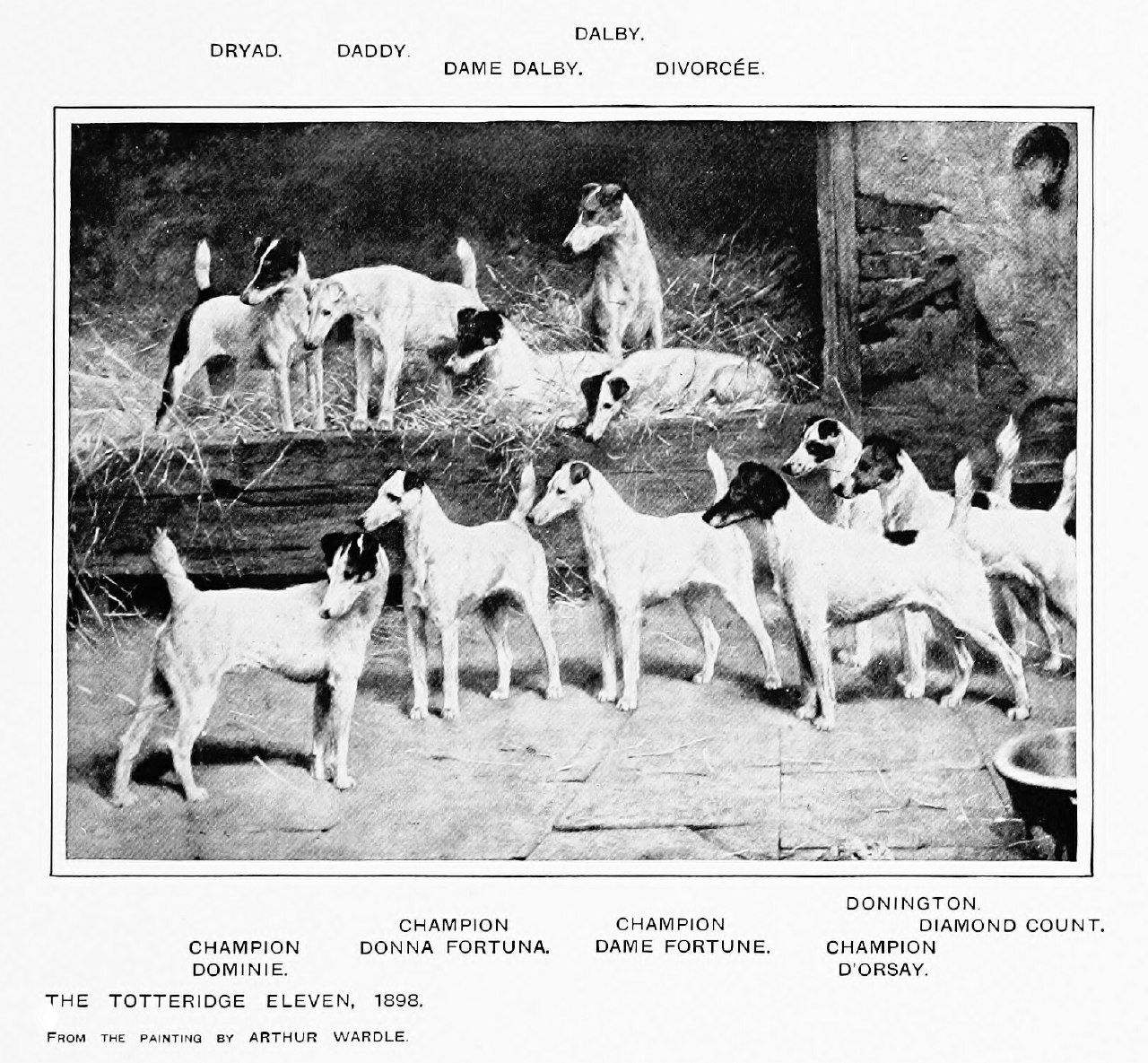 Одиннадцать из Тоттериджа, 1898 — Arthur Wardle