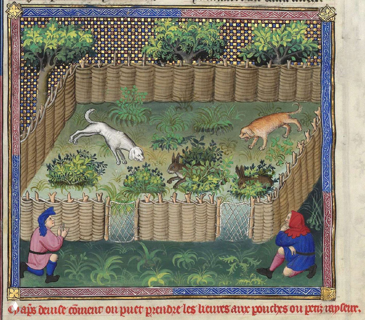 Как охотиться на зайцев с маленькими собаками и эпаньолями