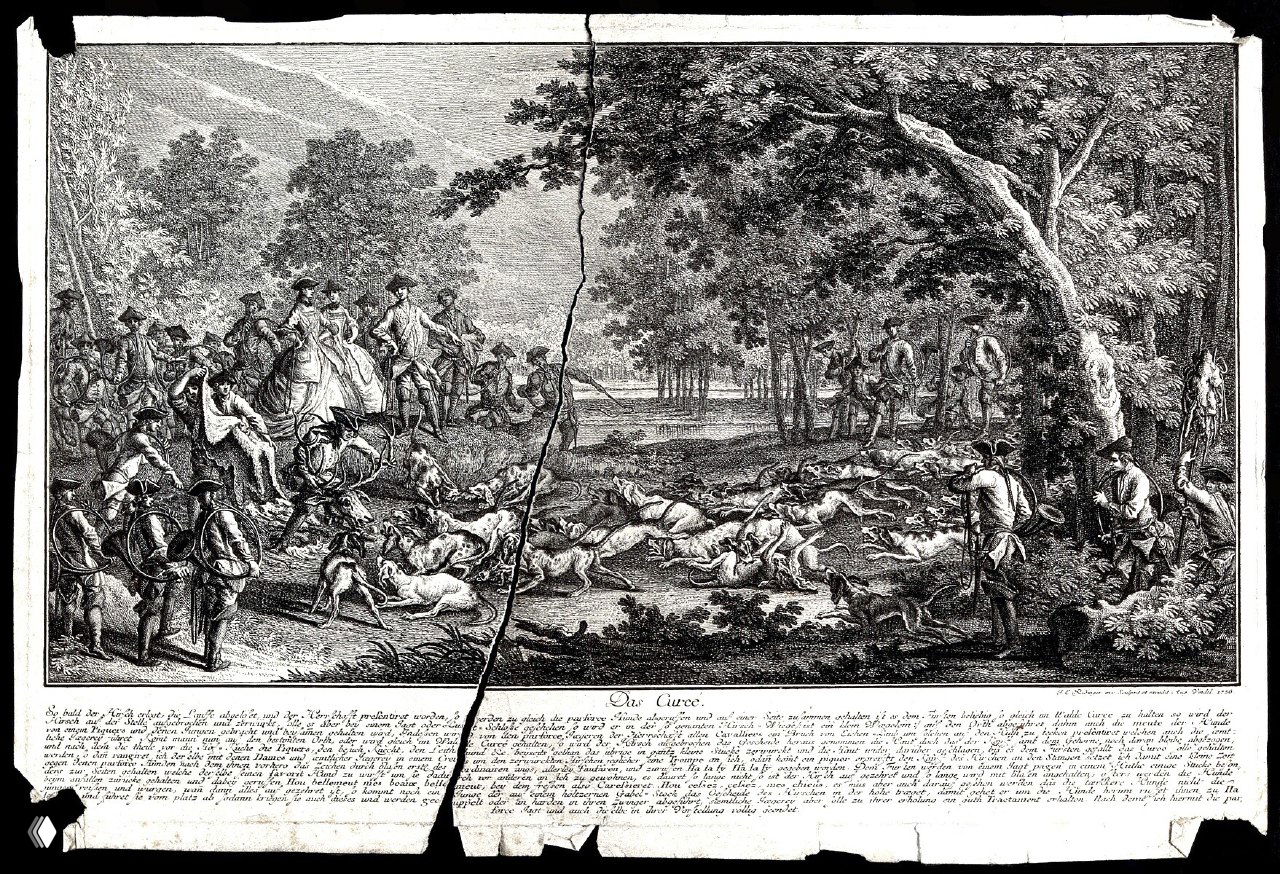 «Curée» — кормление охотничьих собак. Ridinger (1698–1767)