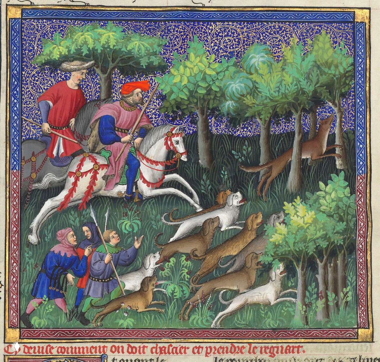 Как гнать и добывать лису