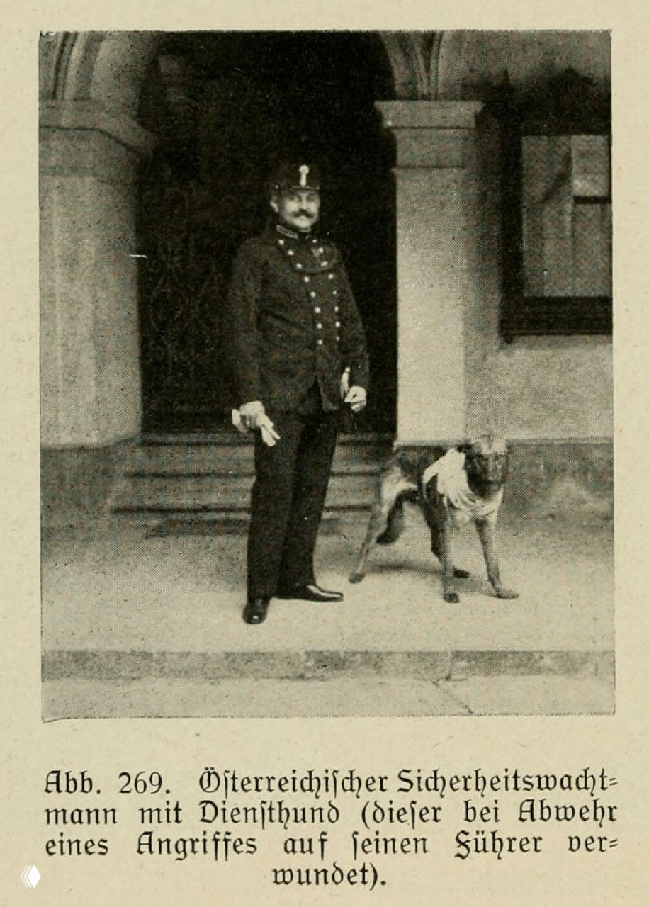 Австрийский полицейский и раненная служебная собака (1921)