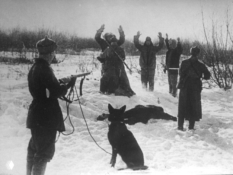 Поимка иностранных агентов под руководством Н.Ф. Карацупы