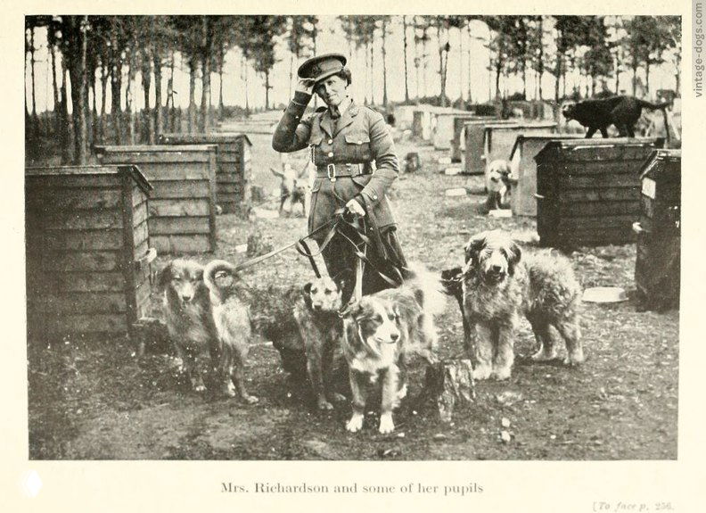 Миссис Ричардсон и её ученики — иллюстрация 1920