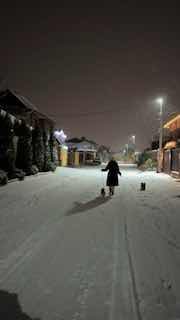 Ночная заснеженная улица: человек идёт по дороге с собаками, вокруг дома и уличные фонари — сцена для прогулки и размышлений.