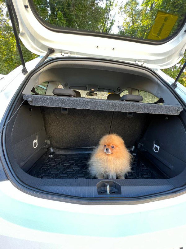 Кому НЕ нужен Телеграм канал