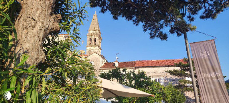 Вид на церковную колокольню сквозь ветви дерева: типичный пейзаж малого приморского городка с зеленью и историческими постройками.