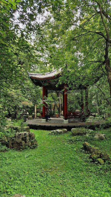 Небольшая открытая беседка-павильон среди густой зелени, дорожки и берега оформлены в китайской стилистике парка.