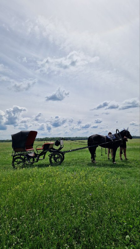 Лошади с экипажем на зелёном лугу рядом с Боголюбовым; широкий сельский пейзаж, высокая трава и большое облачное небо.